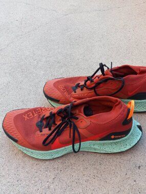 Nike Pegasus Trail 3 GTX GORE-TEX Rugged Orange Size 12 DC8793-800 Waterproof